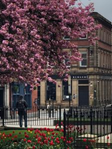 um homem parado atrás de uma cerca debaixo de uma árvore com flores cor-de-rosa em Studio in Bolton town, Short stay studio 5, em Bolton