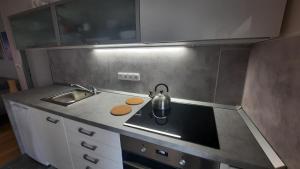 Eldhús eða eldhúskrókur á Apartmán Franz Josef