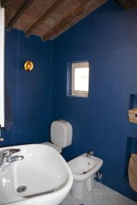 La salle de bains bleue est pourvue de toilettes et d'un lavabo. dans l'établissement La Mansardina Beccheria Central Apartment 1 double bedroom, 1 sofa bed, à Lucques