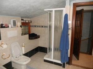 a bathroom with a toilet and a glass shower at B&B LA SPINA 2 in Poggiridenti