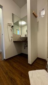 a bathroom with a sink and a mirror at Hotel Gifhorn INN in Gifhorn