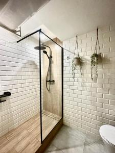 a bathroom with a shower and a toilet at City Break Smocza Jama Apartment in Kraków