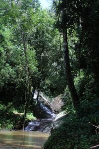 um riacho no meio de uma floresta com uma cascata em Chalé com Cachoeira em Witmarsum