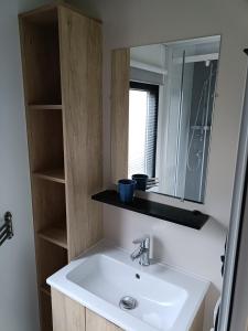 een badkamer met een wastafel en een spiegel bij Chalet Cozy Cove te Lauwersoog in Lauwersoog