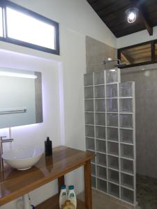 een badkamer met een wastafel en een glazen wand bij Villa El Tucán in Bijagua
