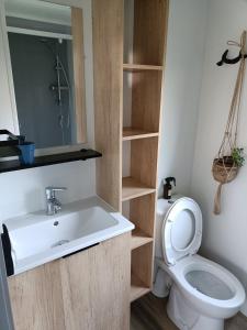 een badkamer met een wastafel en een toilet bij Chalet Cozy Cove te Lauwersoog in Lauwersoog