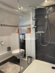 a bathroom with a toilet and a glass shower at Gästezimmer Adenau in Adenau