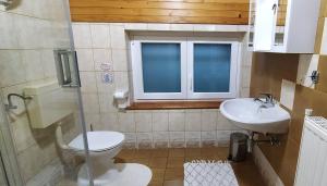 uma casa de banho com um WC e um lavatório em Apartment Jezerka em Cerknica