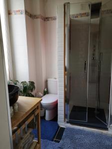 a bathroom with a shower with a toilet and a sink at Le petit plessis in Ruaudin