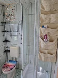 uma casa de banho com um chuveiro, um WC e um chuveiro de vidro. em Weißenspring 