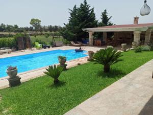 uma piscina num quintal com plantas em Dimora Pellegrino em Sternatia