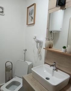 uma casa de banho com um WC branco e um lavatório. em Sunčani apartman 1 em Krupanj