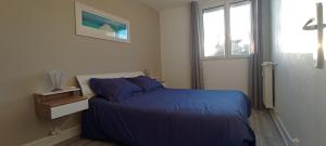 1 dormitorio con cama con sábanas azules y ventana en Le Belle vue, en Saint-Étienne
