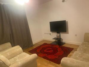 a living room with a television and a red carpet at C.K. APARTMENT in Foleshill
