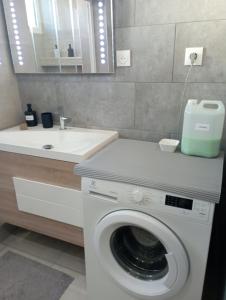 y baño con lavadora y lavamanos. en Le Belle vue, en Saint-Étienne