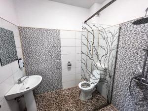 y baño con aseo, lavabo y ducha. en Casa Forrás, en Borsec