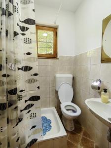 a bathroom with a toilet and a sink and a shower curtain at Dodir prirode in Višegrad