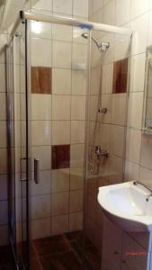 a bathroom with a shower and a sink at W Cisnej pod 1. in Cisna +2 photos