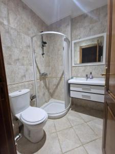 La salle de bains est pourvue d'une douche, de toilettes et d'un lavabo. dans l'établissement Dar Salem III, à Tunis