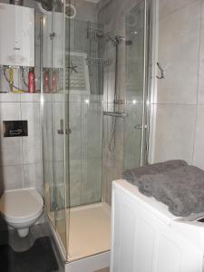 a bathroom with a shower and a toilet at Apartament „STARY RYNEK” Słupsk in Słupsk