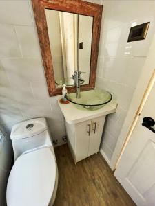 uma casa de banho com um WC, um lavatório e um espelho. em Casa cercana a playas y bosque em Valparaíso