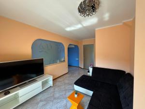 Apartma Mimi في Dekani: غرفة معيشة مع أريكة وتلفزيون بشاشة مسطحة