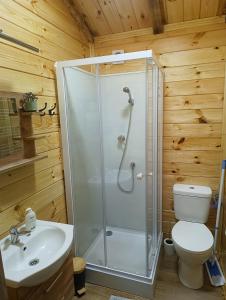 a bathroom with a shower and a toilet and a sink at Domek MODERN BARN- 4 tylko 800m od Suntago Ranczo Gold Mania in Krzyżówka