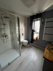Skaryszew的住宿－Pokoje pokój u Bani，带淋浴和卫生间的浴室