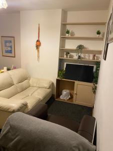 a living room with a couch and a flat screen tv at Incredibly spacious King size Room with full Main Floor of the Flat! in Oxford