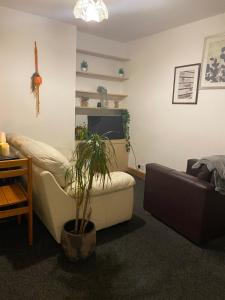 a living room with a couch and a plant at Incredibly spacious King size Room with full Main Floor of the Flat! in Oxford