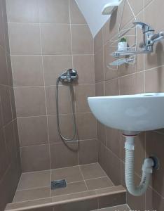 ein Bad mit einem Waschbecken und einer Dusche in der Unterkunft Sunčana Kuća in Krupanj