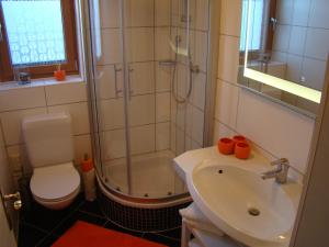 a bathroom with a shower and a toilet and a sink at Apartment Schützinger in Abtenau