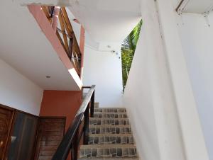 a staircase in a building with a plant at Hotel Mancora Akuma in Máncora