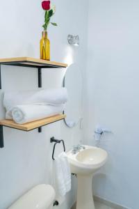 ein Badezimmer mit einem Waschbecken, einem WC und einem Spiegel in der Unterkunft Apartamento Atardecer en Aguascalientes in Aguascalientes