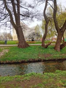 Ogród w obiekcie Pokoje u Igi