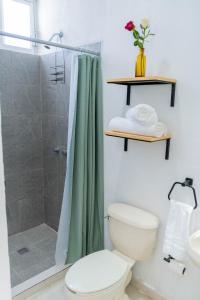 ein Bad mit einer Dusche, einem WC und einem Waschbecken in der Unterkunft Apartamento Atardecer en Aguascalientes in Aguascalientes