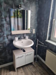 a bathroom with a sink and a mirror at Ferienwohnung/Apartment Siegen in Siegen +10 photos