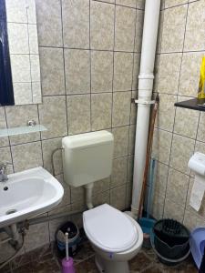 ein Bad mit einem WC und einem Waschbecken in der Unterkunft Hypnotic Suite Pitesti in Piteşti