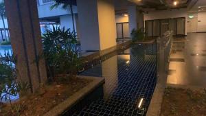 努沙再也YUMI medini Meridin Studio的相册照片