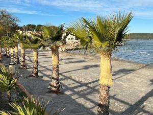 a row of palm trees on a sandy beach at LE STUDIO REMCAM in Saint-Mitre-les-Remparts