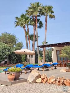 un groupe de chaises, un parasol et des palmiers dans l'établissement Casa Bet con piscina y jardín., à Sant Miquel de Balansat