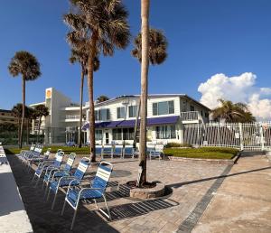 a row of chairs in front of a building with palm trees at Sea Crest in Sarasota