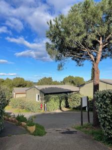 a house with a tree in front of a driveway at Chalet T3 4/6 personnes à Agde in Agde