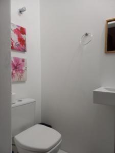 een witte badkamer met een toilet en een wastafel bij Pousada Harmonia Pomerana in Pomerode