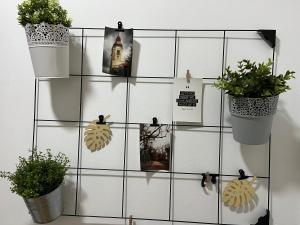 Fotografie z fotogalerie ubytování For5 v destinaci Ðakovo