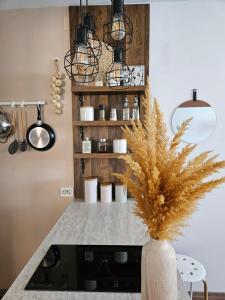 a kitchen with a counter with a plant in a vase at Apartmani Rustik Trpejca in Trpejca