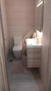 uma casa de banho com um WC, um lavatório e um espelho. em KALAMOS PLAZA em Kalamos