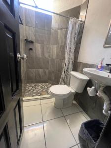 uma casa de banho com um chuveiro, um WC e um lavatório. em Hotel and Bungalows Palaces em San Patricio - Melaque
