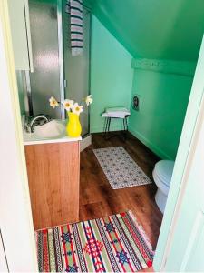 baño verde con lavabo y aseo en Charming barn in the heart of the Berkshires en New Marlborough