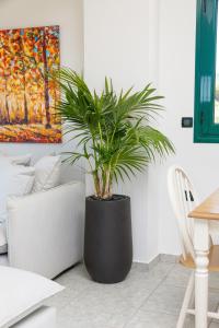 a plant in a black pot in a living room at Villa Giannari in Stalos